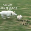 아이앤비 이미지