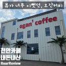 오간커피 | [내돈내산] 천안 뷰 맛집, 오간커피 솔직 후기: 음료보다 풍경에 반한 곳