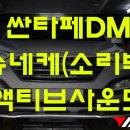슈네케