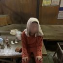 숲속고양이 | 서울 실내 데이트 찜질방 추천 '숲속한방랜드' 찐 후기