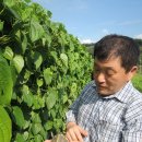 덩쿨농장 이미지