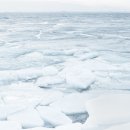 덕진한의원 이미지