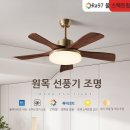 얀 - 구미시 | 얀