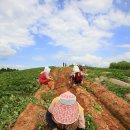 황금터농장 이미지