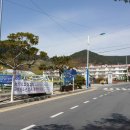 도리1길 이미지