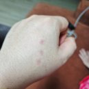 삼성미플러스의원 이미지