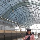 농촌지 낚시터 이미지