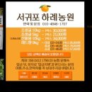 하례광장로 이미지