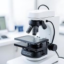 함께걸음마을치과의원 | 요즘 치아가 왤케 시릴까? 이엘치과의원 나들이썰