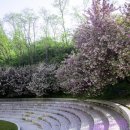 늘푸른전당 수영장 이미지