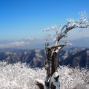 농소중학교 이미지