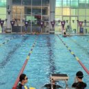 고창군 청소년수련관 실내수영장 | 고창군 청소년수련관실내수영장, 타일 전면교체 등 공사휴관(5월7일부터)