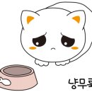 여기 갈비찜 어때 이미지