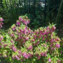 금호식당 이미지