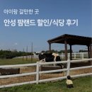 돼지동산놀이터1 | 안성 아이와 갈만한 곳, 안성팜랜드 할인 식당 후기