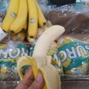 몽키바나나 이미지