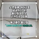 오수의과 동물병원 | 울산침대청소 아이구토 소변얼룩 냄새 제거 복원 후기