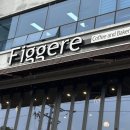 피그레(figgere)