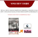 동그라미플랜 네이버블로그