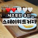 [스테이위드커피] 제주 해안동 카페 솔직 후기