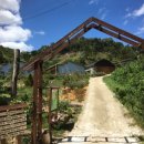 행복한닭농장 이미지