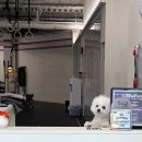 크로스핏 V8 이미지