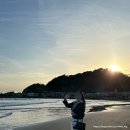 유이애견샵 | 도쿄, 가마쿠라, 에노시마] 4박5일 여행 3일차(2)_유이가하마 해변, Daisy's Cafe 카페오레, Trattoria...