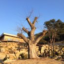 느티나무농장 이미지