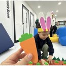 푸른태권도체육관 이미지