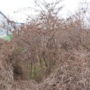 추학보건진료소 이미지