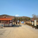 강아지 놀이터 이미지