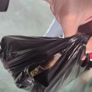 대명항_대명항화장실 | [경기] 김포 대명항 차박 후기 왕새우튀김 어판장 전어회와 함께 혼술