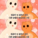 효정약국 | 펜터민 푸리민정 오라비텐정 다이어트 효과 식욕억제제 가격 부작용 세달차 후기