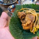 콩불파불