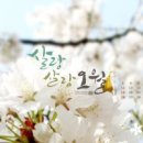 캘리그라피 Daum카페