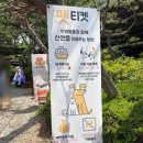 의왕 청계산 캠핑장분위기 고깃집 산앤들 방문후기 인덕원고기맛집 안양고기맛집 캠핑야장 정육식당
