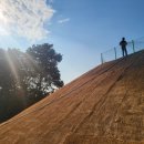 열매 태양광발전소 이미지