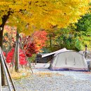 올래 캠핑장 이미지