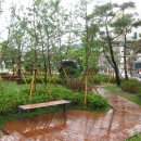 보운초교 이미지