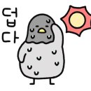 씨그넷풀스테이 이미지