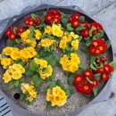 수7080 - 논산시 계백로140번길 6 | 수7080