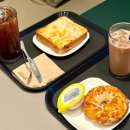 노이타김해