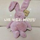 커들리 - 금천구 금하로29길 12 | 아기 애착인형 NATTOU 나뚜 커들리 후기