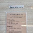열린펜션 | 포항 독채 펜션 더리브풀빌라 프라이빗 수영장 방문후기