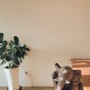 실안바다풍경 이미지