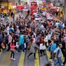 상제리제상가 이미지