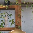네오나오 김포점 | 두피관리샵 네오나오 김포, PDT특수관리 후기
