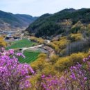 향-고향의 정 이미지