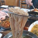 꿀통돼지