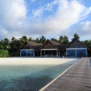 돌고래헬스클럽 이미지